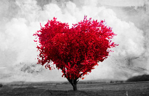 encontar-un-nuevo-amor-en-linea-completamente-gratis